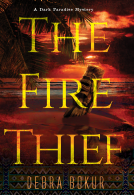 book cover for The Fire Thief