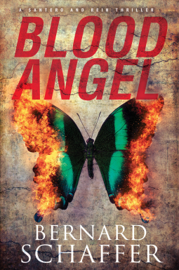 book cover for Blood Angel