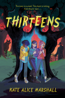book cover for Thirteens