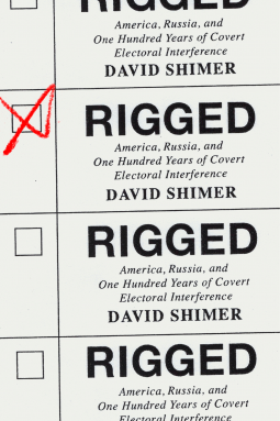 book cover for Rigged