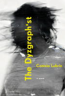 book cover for The Dyzgraphxst