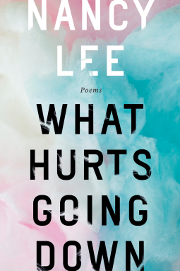 book cover for What Hurts Going Down