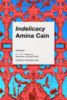 book cover for Indelicacy