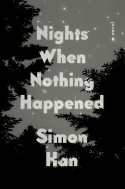 book cover for Nights When Nothing Happened