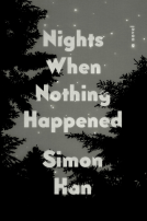 book cover for Nights When Nothing Happened