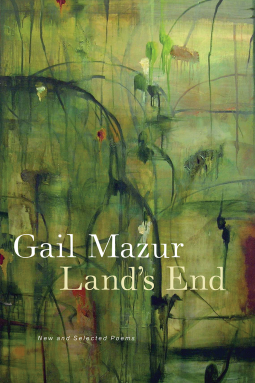 book cover for Land's End