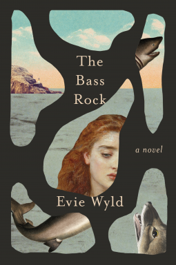 book cover for The Bass Rock