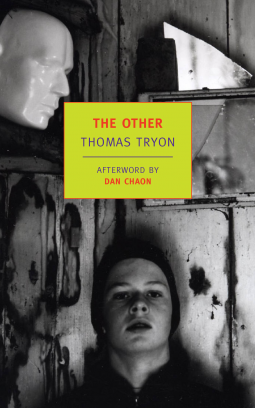book cover for The Other