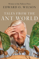 book cover for Tales from the Ant World