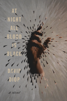book cover for At Night All Blood Is Black