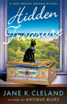 book cover for Hidden Treasure