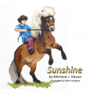 book cover for Sunshine