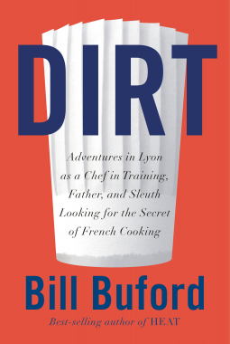 book cover for Dirt