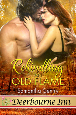 book cover for Rekindling an Old Flame