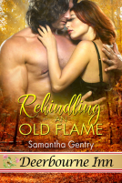 book cover for Rekindling an Old Flame