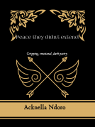 book cover for Peace they didn't extend