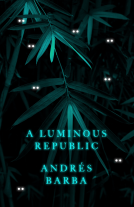 book cover for A Luminous Republic