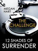 book cover for The Challenge