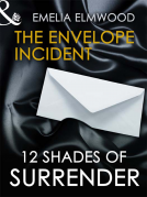 book cover for The Envelope Incident