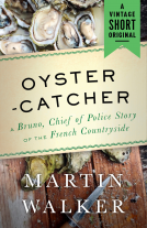 book cover for Oystercatcher