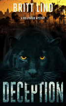 book cover for Deception