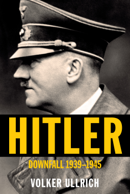 book cover for Hitler: Downfall