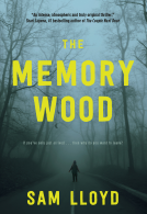 book cover for The Memory Wood