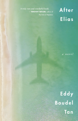 book cover for After Elias