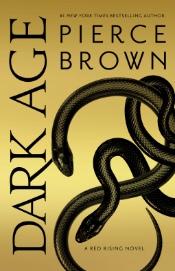 book cover for Dark Age