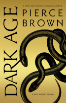 book cover for Dark Age