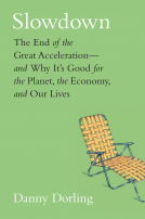 book cover for Slowdown