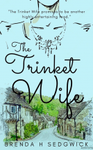book cover for The Trinket Wife
