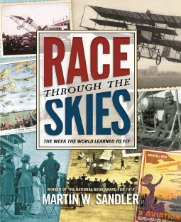 book cover for Race through the Skies