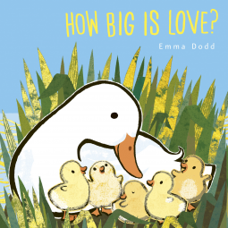book cover for How Big Is Love?