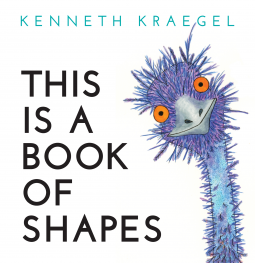 book cover for This Is a Book of Shapes