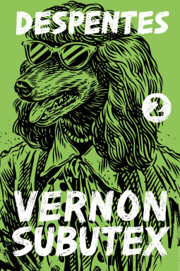 book cover for Vernon Subutex 2
