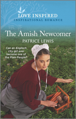 book cover for The Amish Newcomer