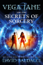 Cover Image: Vega Jane and the Secrets of Sorcery