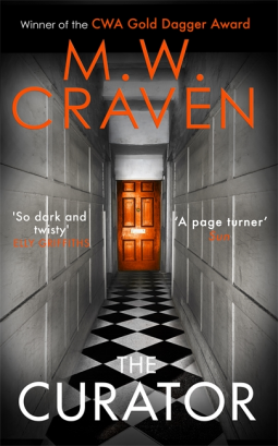 book cover for The Curator