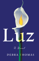 book cover for Luz