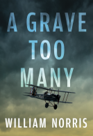 book cover for A Grave Too Many