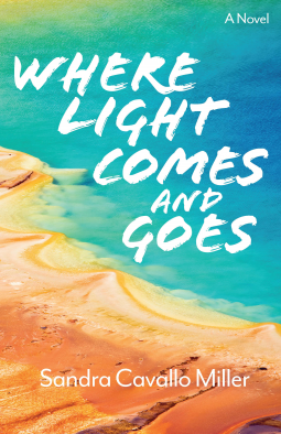 book cover for Where Light Comes and Goes