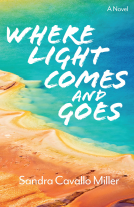 book cover for Where Light Comes and Goes