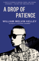 book cover for A Drop of Patience