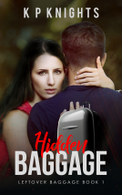 book cover for Hidden Baggage