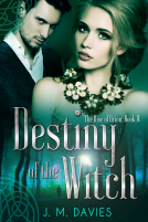 book cover for Destiny of the Witch