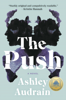 book cover for The Push