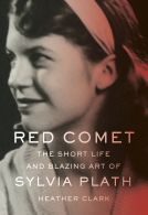 book cover for Red Comet