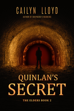 book cover for Quinlan's Secret