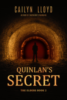 book cover for Quinlan's Secret